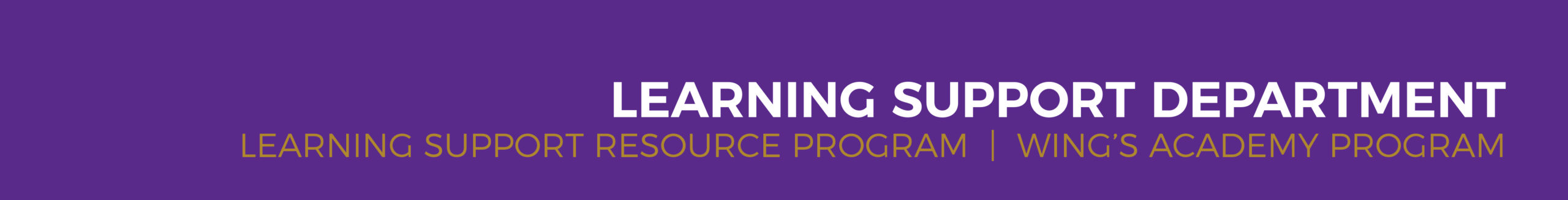 Learning Support Resource Program